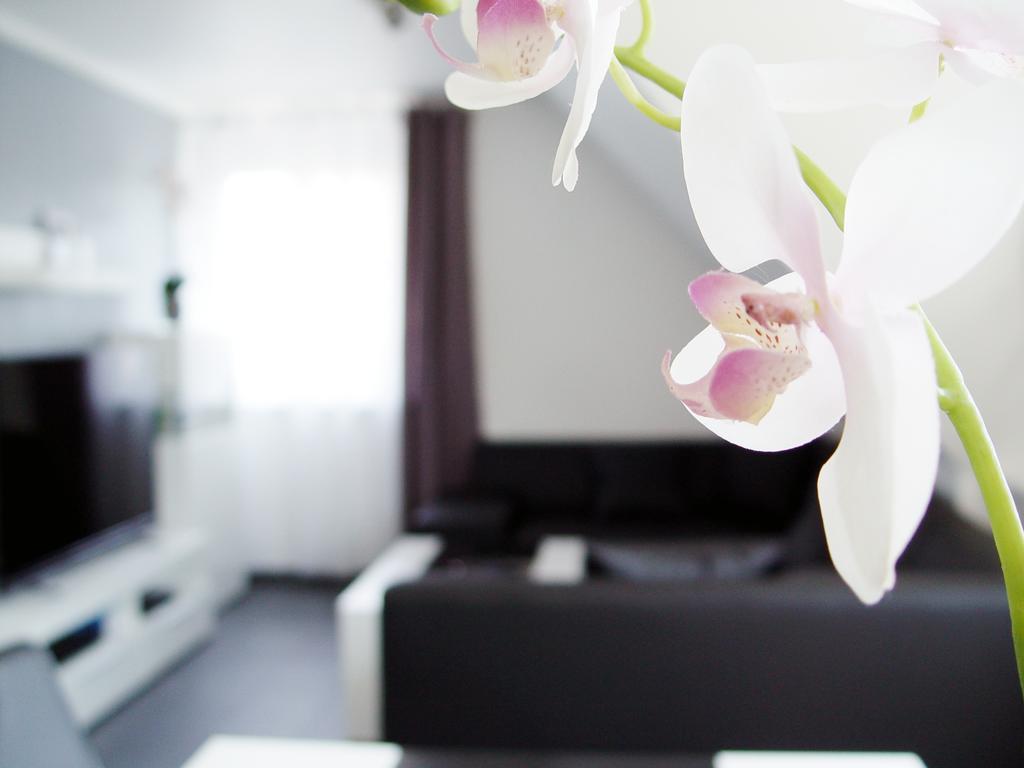 Appartement La Domus Premium Osnabrueck Lotte Extérieur photo