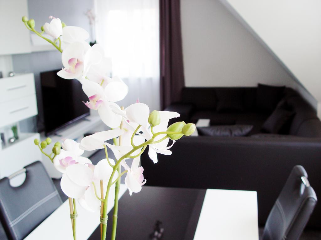 Appartement La Domus Premium Osnabrueck Lotte Extérieur photo